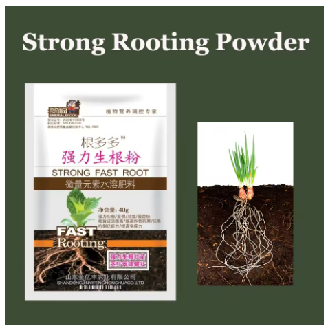 Rooting Hormone Powder - Bitkiler için Güçlü Köklendirme Tozu, Ağaçlar