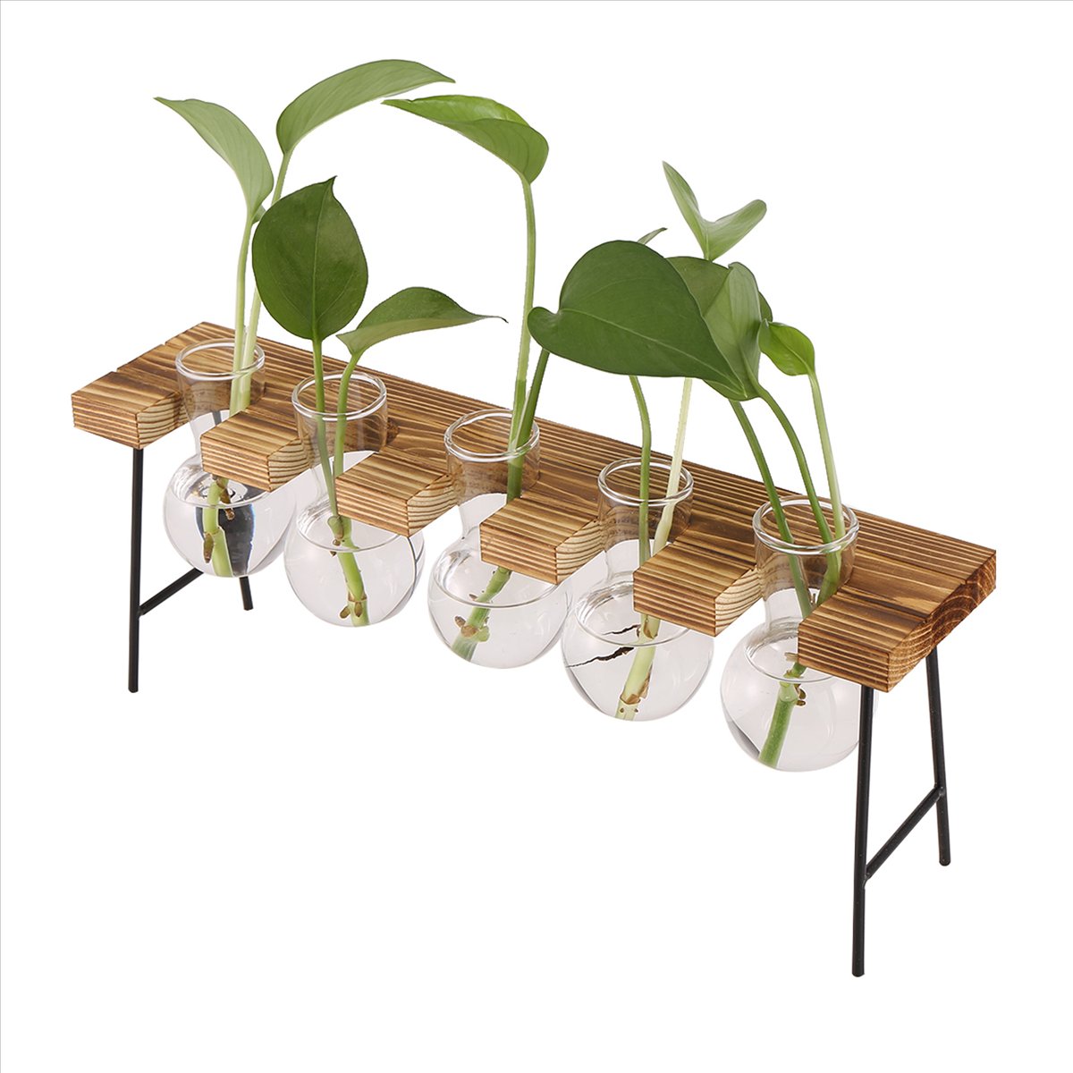 ABFS Çoğaltma İstasyonları Mas - Propagation Station Vase incelemesi ve fiyatı